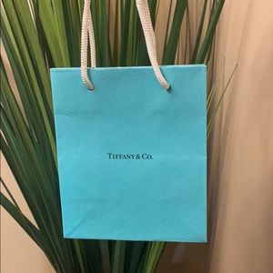 Small Tiffany & Co. shopping bag